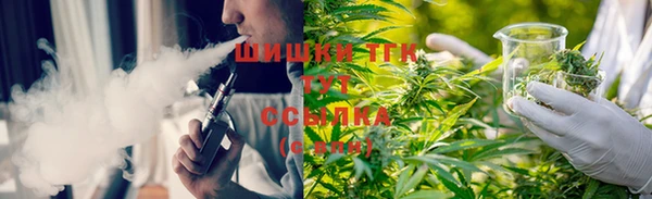 метадон Дмитриев