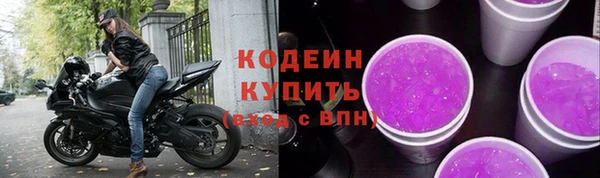 гидра Елизово