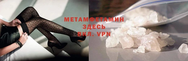 гидра Елизово