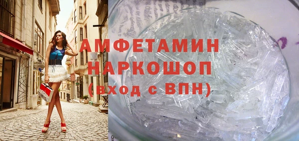 гидра Елизово