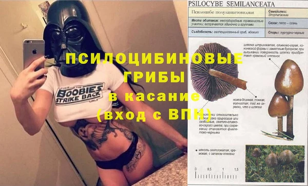 ешки Дмитровск