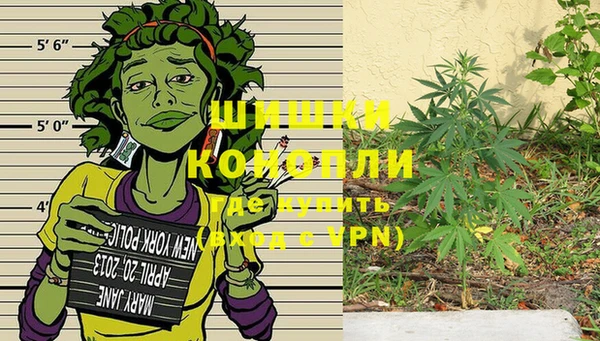 метадон Дмитриев