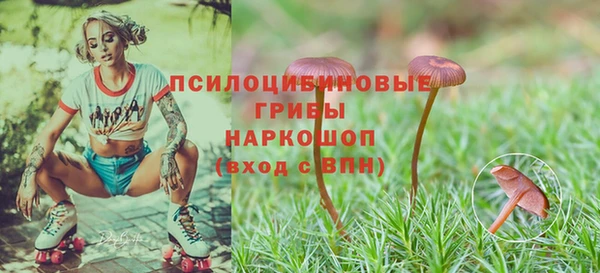 метадон Дмитриев