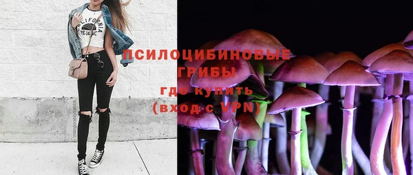 МДМА Ельня