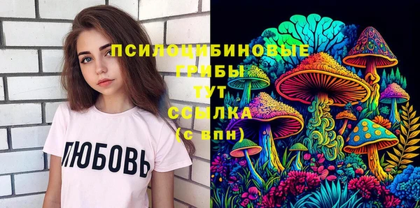 спиды Елабуга